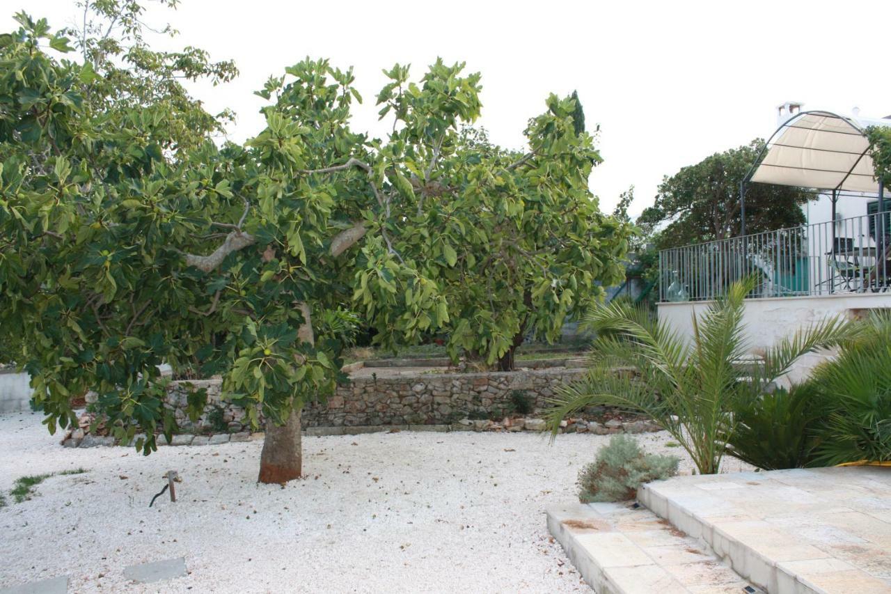 Trullo Aniello Villa Locorotondo Exterior foto